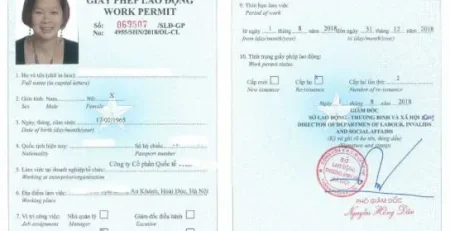 Giay Phep Lao Dong Work Permit 544x420